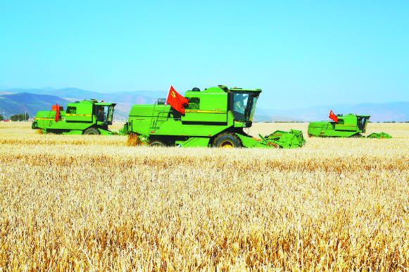 三江集团青稞丰收。刘鸿曦 摄