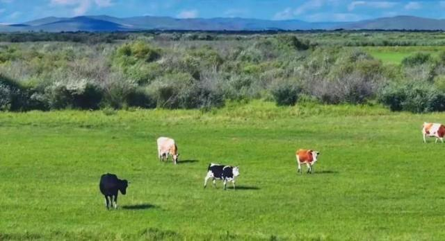 ▲图源：《非来不可》官微视频截图