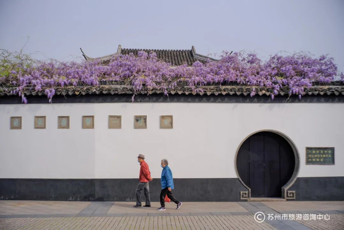 图源：好玩苏州