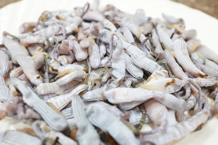 泥丁。杨证民 摄