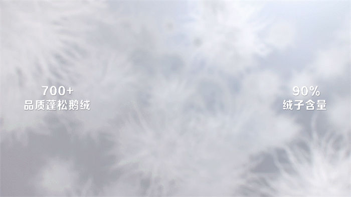 　　 700+品质蓬松鹅绒 