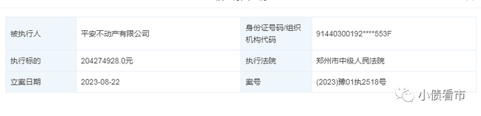 被执行人详情