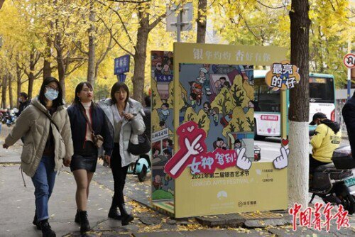 　　文林街银杏节是昆明主要文化活动之一。张文凌/摄