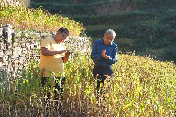 贺献林（右）和王虎林（左）在查看梯田农作物。新华社记者岳文婷 摄