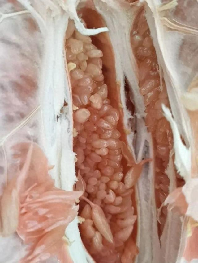 图源 微博@我和搞笑男的日常