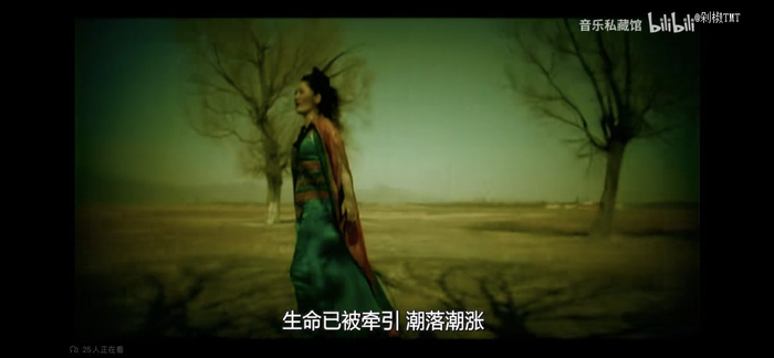 图源：B站@音乐私藏馆