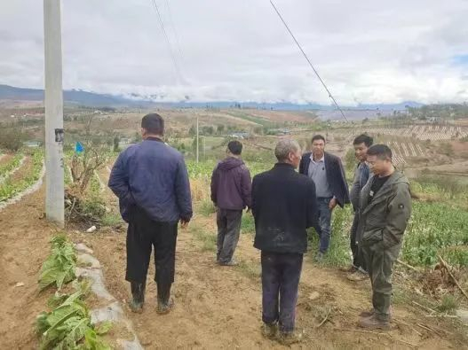 中国人寿农险工作人员扎根乡村一线服务农户