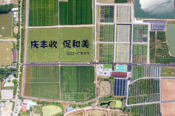 △以上5图 廖文奕 摄