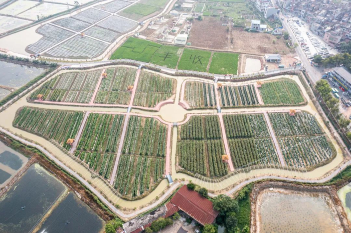 △花溪田园。廖文奕 摄