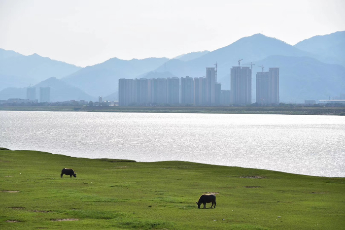 △图源 多彩肇庆