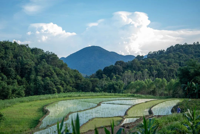 △六桥梯田。廖文奕 摄