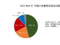 持续引领国内小折叠市场，OPPO凭借46%份额高居榜首