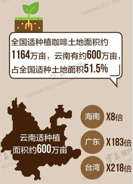 （图源：云南日报）