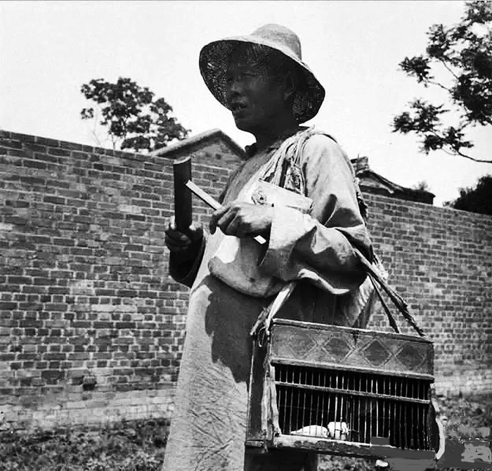     算命先生敲竹板