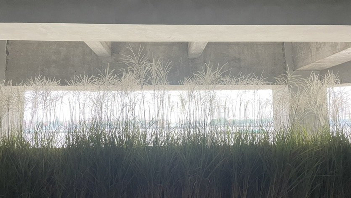 人与自然“共育相生”，2023上海城市空间艺术季杨浦滨江展启幕_手机新浪网