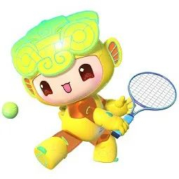 体育项目：羽毛球、篮球、足球、网球等