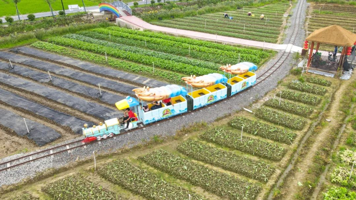 △哈哈乐农耕文化园小火车行驶在田间。 陈彦成 摄
