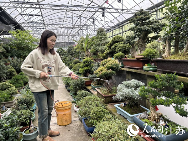 严海燕在沭阳国际花木城从事花木生意已有15年。人民网记者 顾姝姝摄