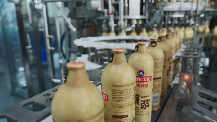 原浆啤酒灌装现场 青啤集团供图