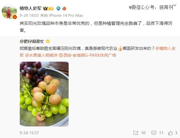 阳光玫瑰的过气，跟急功近利的种植氛围有关。（图/微博截图）