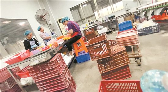 工人在工作，桌上摆放着鲜蛋 （非正常拍摄）