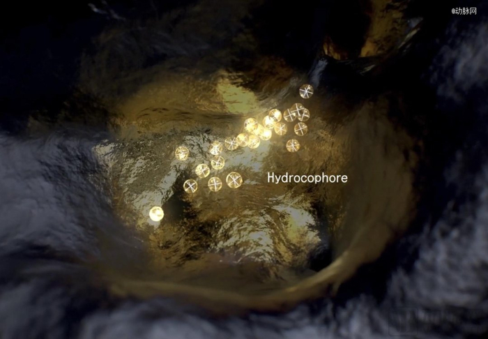 ▲小分子化合物与蛋白表面结合口袋（蛋白质空腔）有效结合/以下图片均来自企业官网‍‍