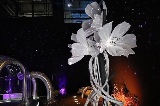 可以艺术馆首展“宇宙微尘”。新京报记者 于桂桂 摄