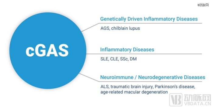 ▲ 受cGAS影响的疾病类型