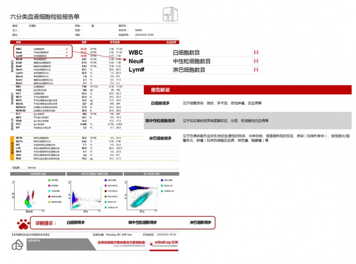 王情圣报告单
