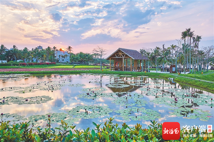 晚霞映照下的留客村格外美丽。海南日报记者 袁琛 摄