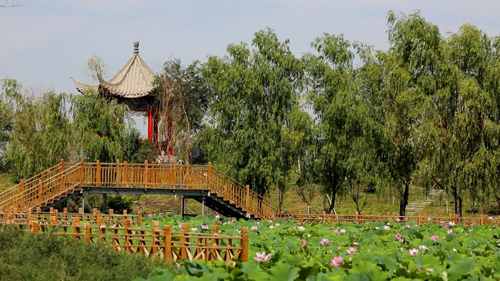 五家渠青格达湖旅游风景区美景如画.梁艳 摄