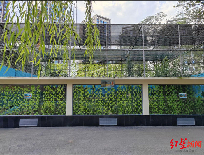 ▲朱鹮在成都动物园的新家