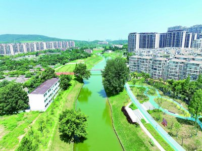 朱家山河东门段水清岸绿。 泰山街道供图