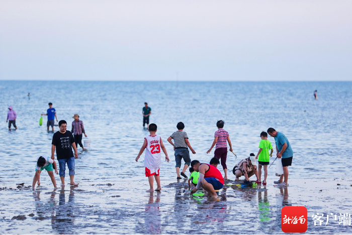 市民游客享受赶海乐趣。