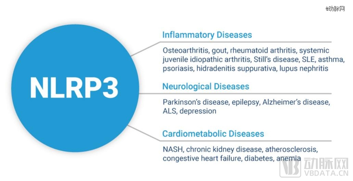 ▲受NLRP3影响的疾病类型