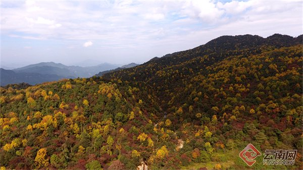 小草坝一景 彭洪 摄