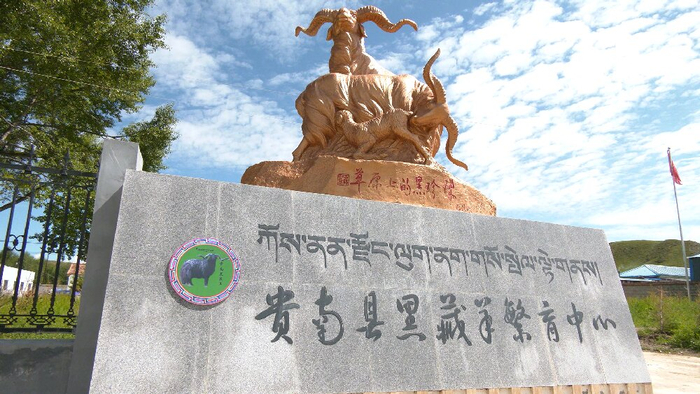 贵南县委宣传部供图