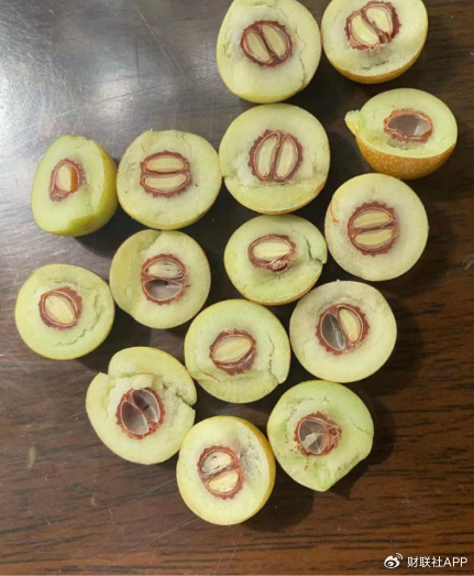 检查新酸枣枣仁出仁率（图片来源：受访者供图）