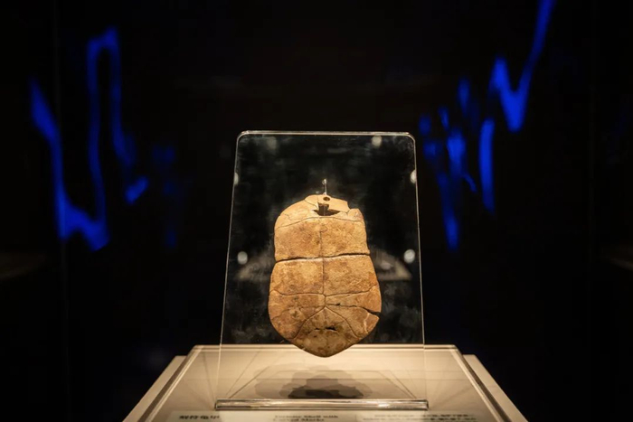 刻符龟甲·新石器时代，河南博物院藏