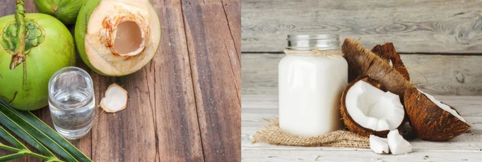 椰青（左）与老椰（右）图源：图虫