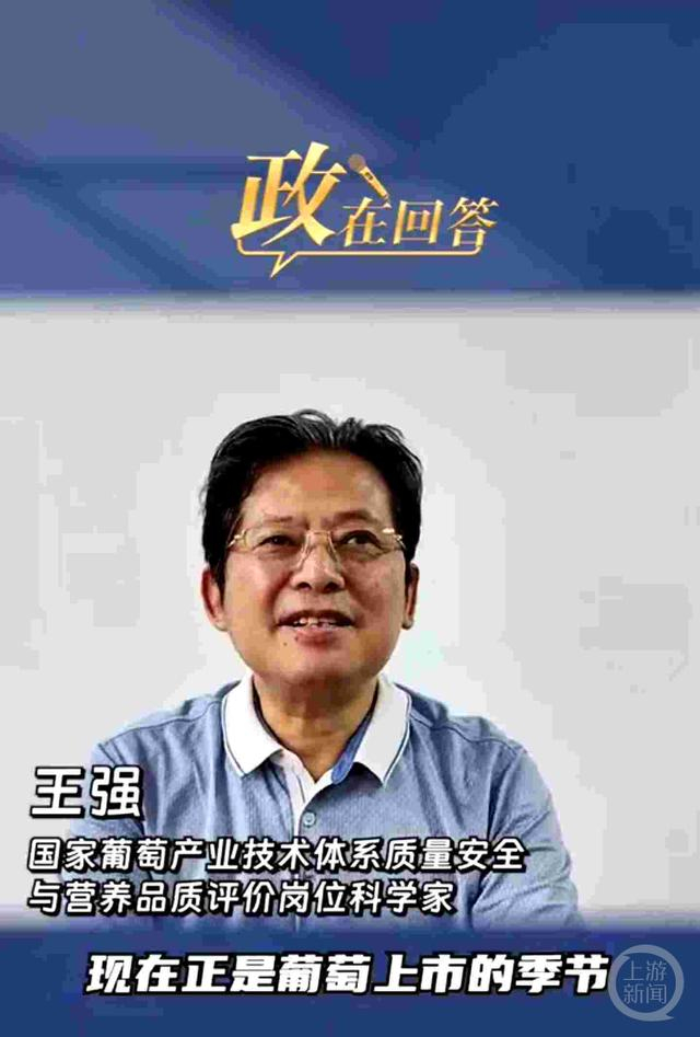 专家强调阳光玫瑰葡萄没有食品安全问题。   视频截图