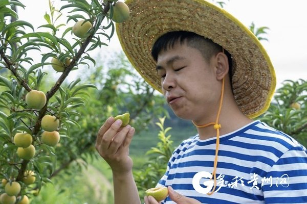 短视频博主、助农主播晓凡凡