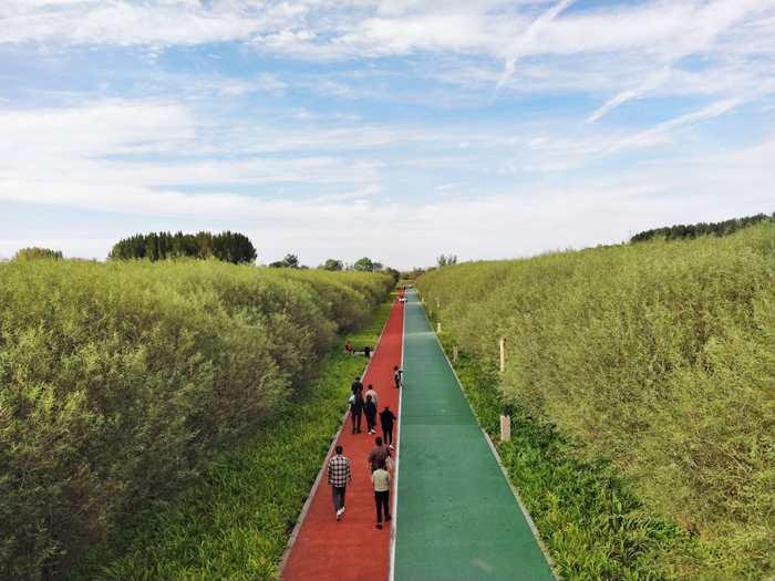长治市漳泽湖国家城市湿地公园,众多游客前来欣赏湿地景观