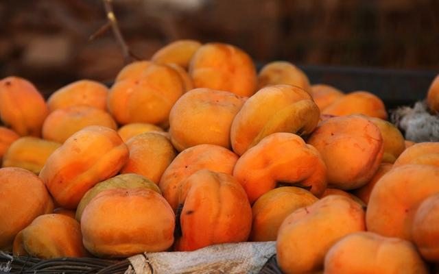 磨盘柿。 图/IC photo