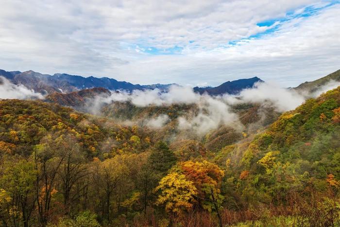 湖北荆山山脉简介图片