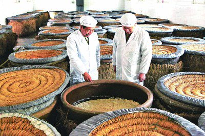     酿酒者在查看崇明老白酒的发酵情况。资料图片