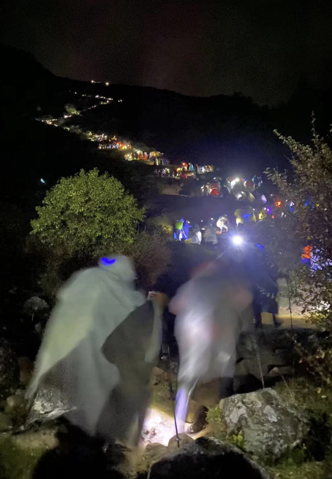 图源：作者供图