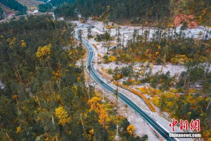 墨脱扎墨公路秋色。张静 摄