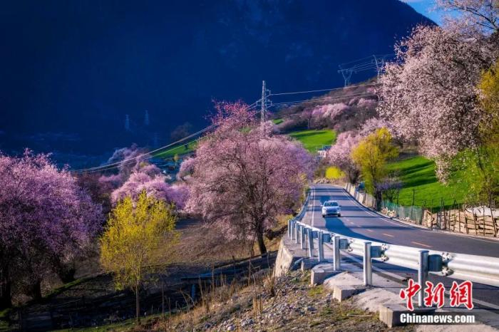 国道318林芝段。张静 摄