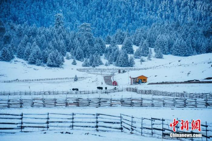 雪后的鲁朗国际旅游小镇。鲁朗管委会供图